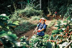 BIB: 
                            <button type="button" onclick="openModal(25857527)" class="btn btn-primary btn-sm float-right btn-popup" data-toggle="modal" data-target=".modal-high-quality">
                        <i class="fas fa-shopping-cart"></i> Add to Cart
                    </button>
                                            <button type="button" onclick="isThisMe(25857527, true)" class="btn btn-success btn-sm float-right btn-popup btn-isme hidden" data-toggle="tooltip" data-placement="bottom" title="นี่คือรูปของคุณใช่ไหม คลิกที่นี่เพื่อเอาเข้าอัลบั้ม">
                        <i class="fas fa-plus"></i> Add to album
                    </button>
                    <button type="button" onclick="isThisMe(25857527, false)" class="btn btn-warning btn-sm float-right btn-popup btn-isnotme hidden">
                        <i class="fas fa-ban"></i> Remove from album
                    </button>